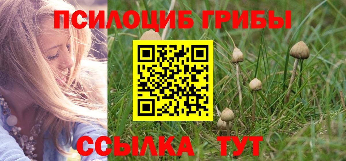 Псилоцибиновые грибы MAGIC MUSHROOMS Советская Гавань